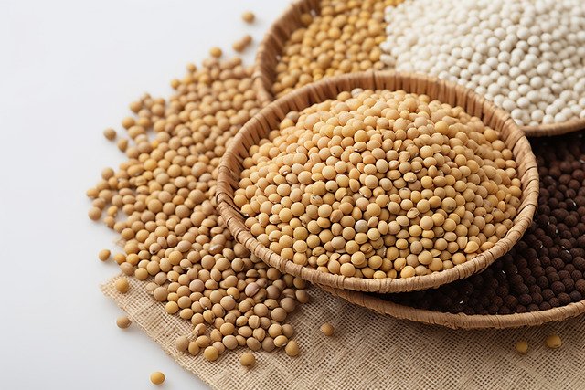 Global Market Insights: Trends in Agricultural Trade