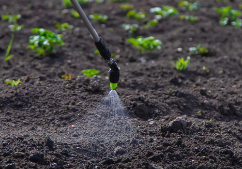 Sustainable Agriculture Practices: A Path Towards a Greener Future