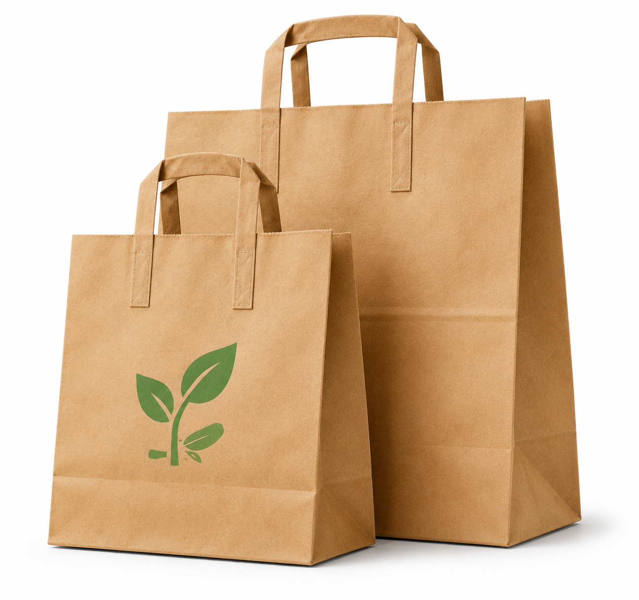 Sustainable Paper Bags